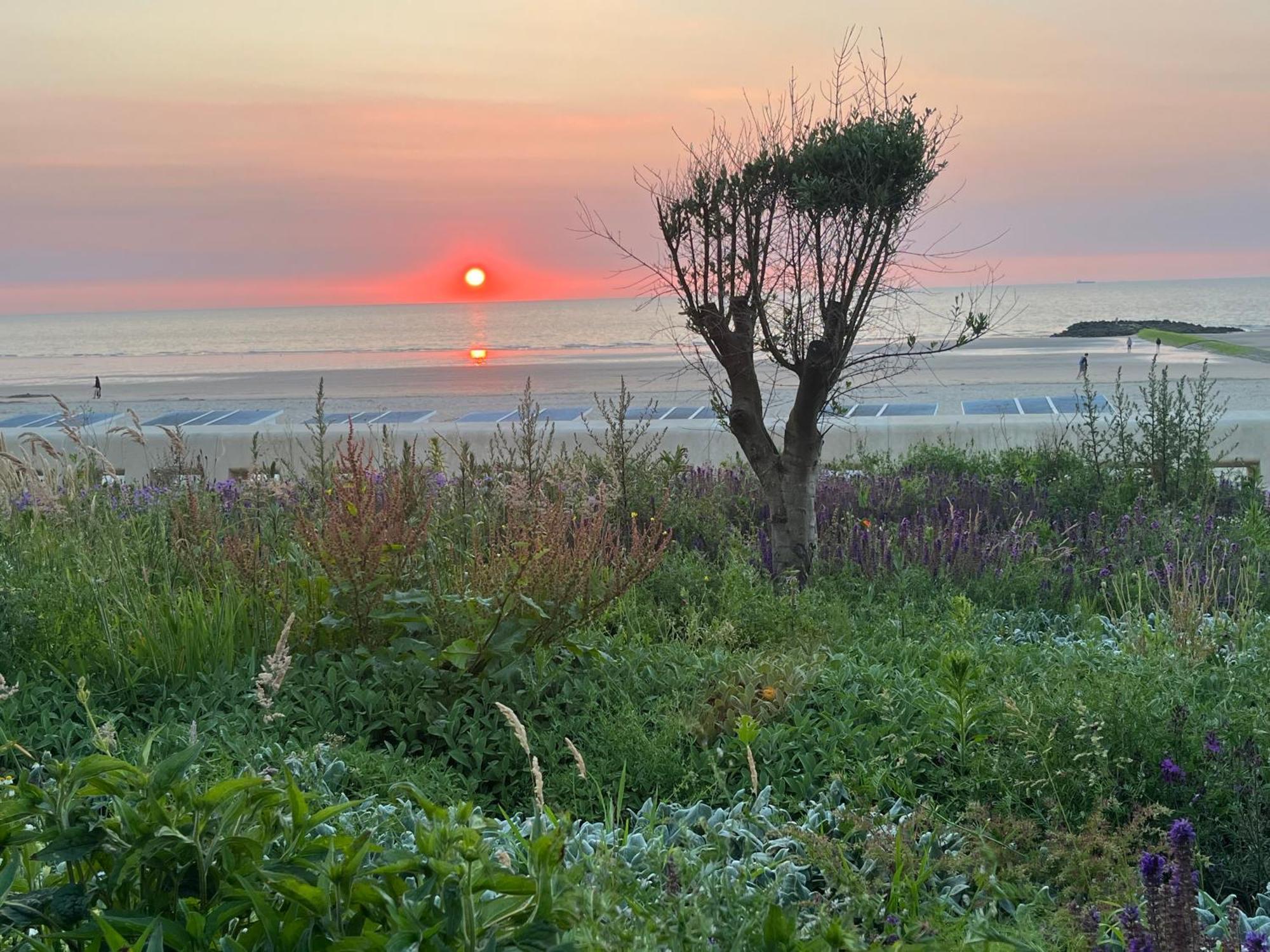 Digue De Westende, Avec Coin Nuit, Piscine, Vue Et Fantastique Middelkerke